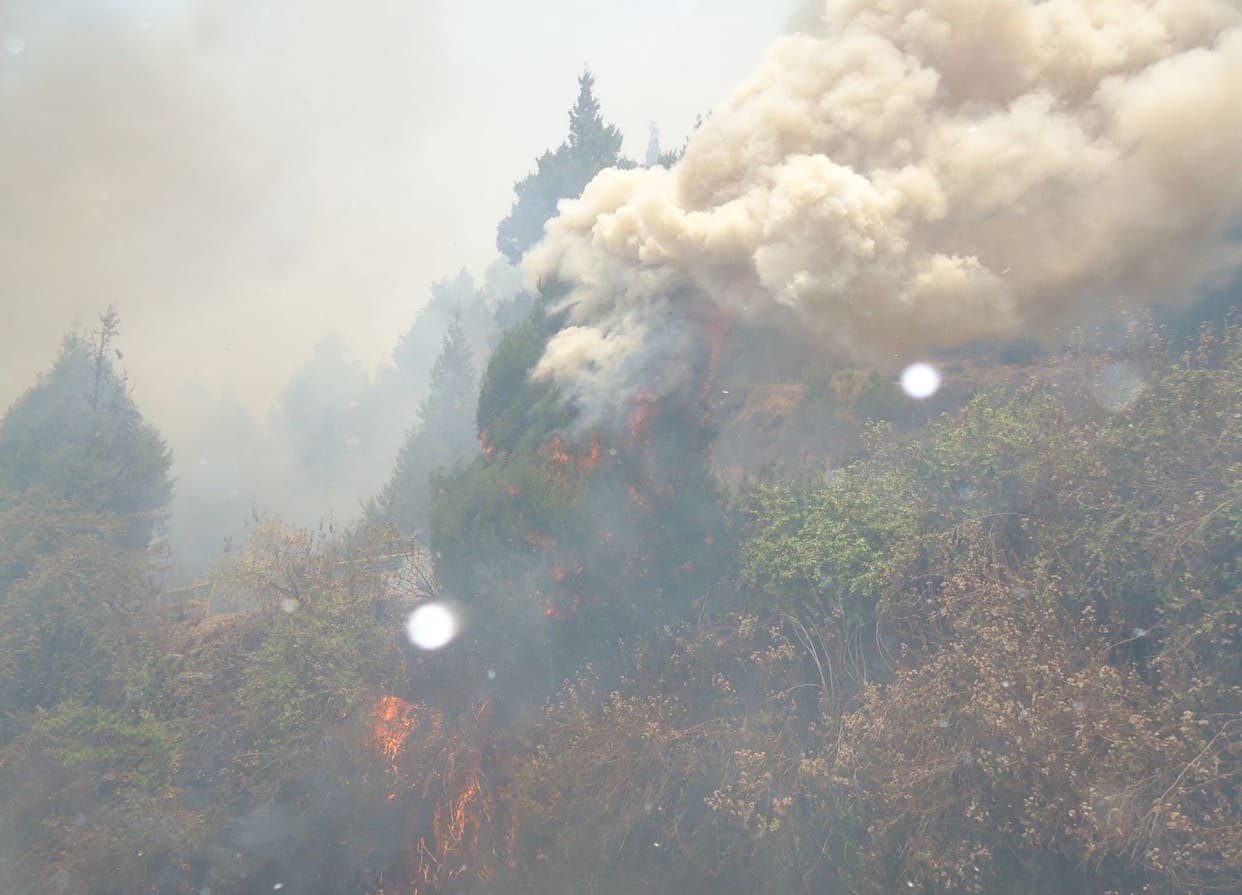 in uttarakhand forest fire handled by the military