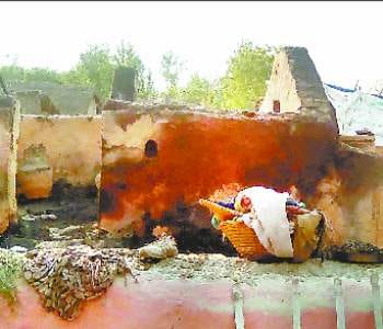 15 houses burned from fire