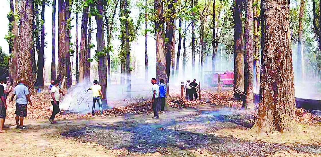 Now fire squad to protect foirests from fire