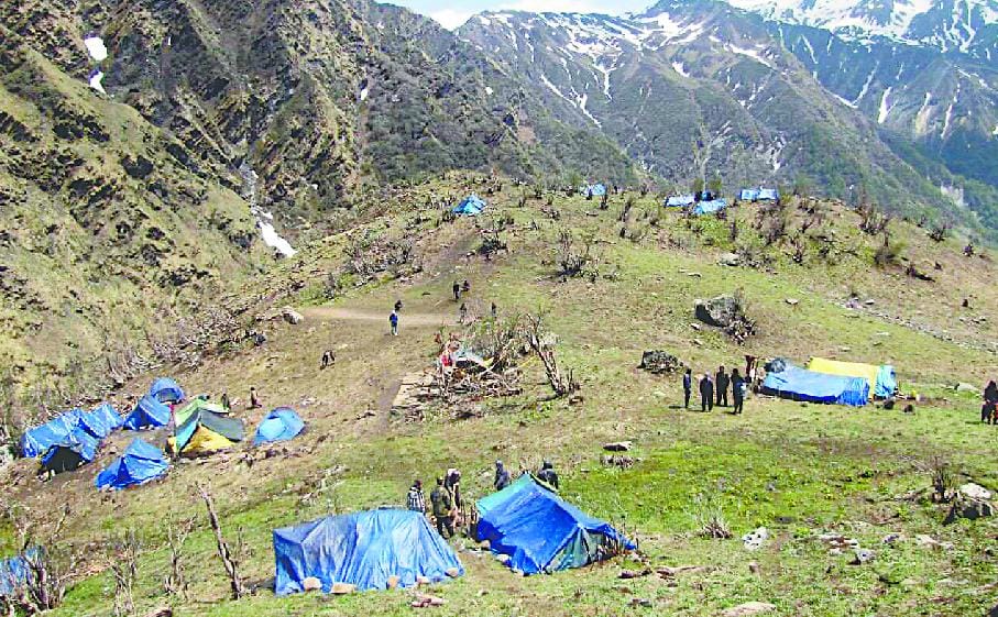 Colony continues to search the tents Yarsa Ganbu