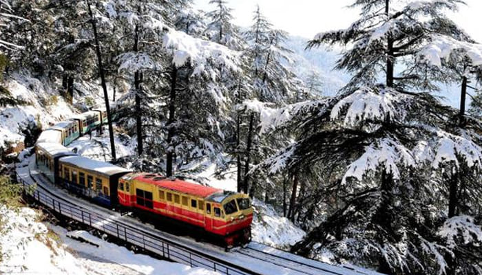 toy train, toy train booking, summer vacation, luxurious coach in toy train