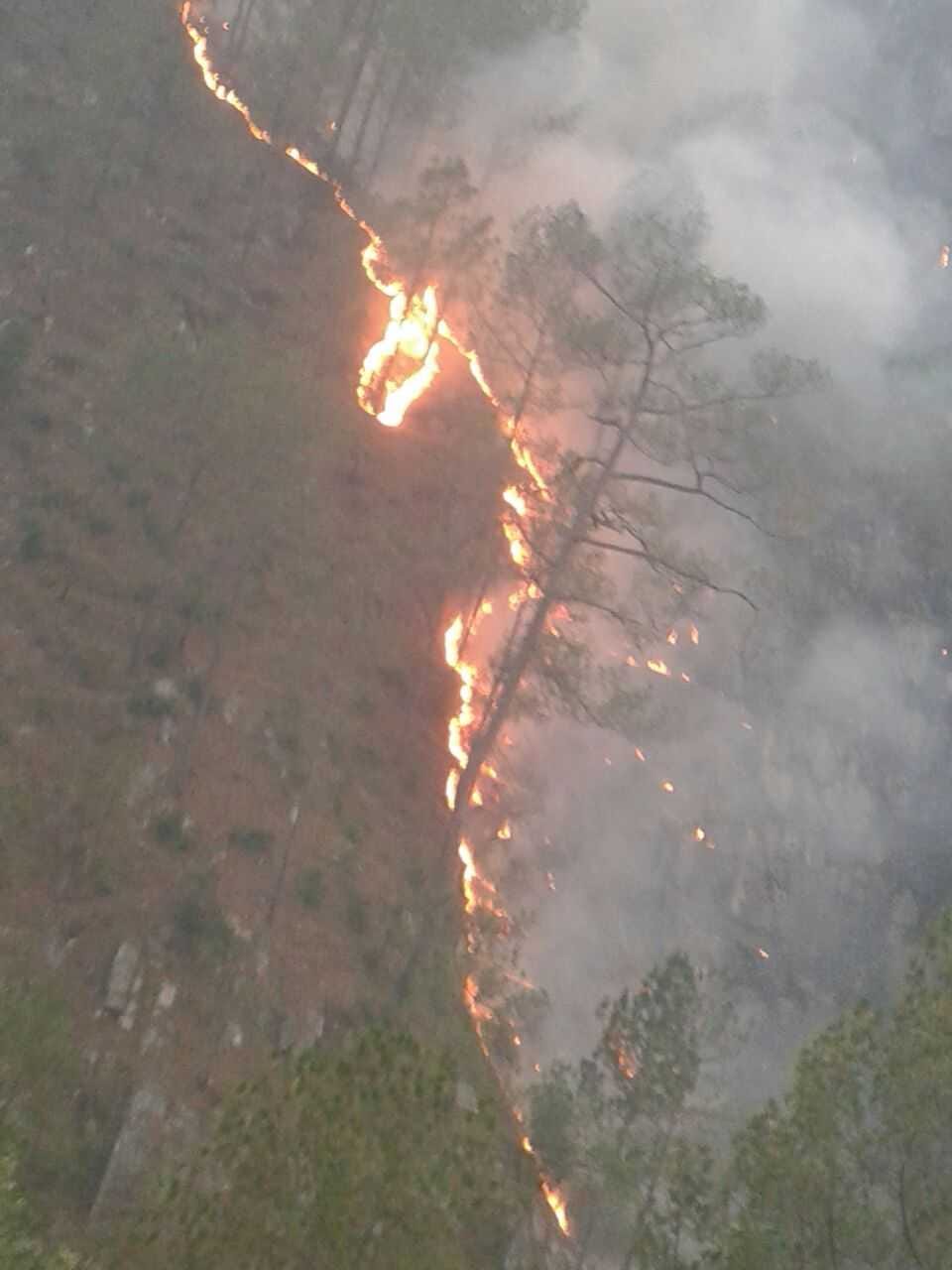 BJP veteran leader died in forest fire scorched