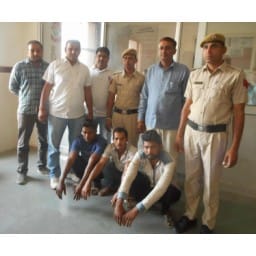 fatehabad news, hindi news, gang, grains, thief, arrest, fatehabad