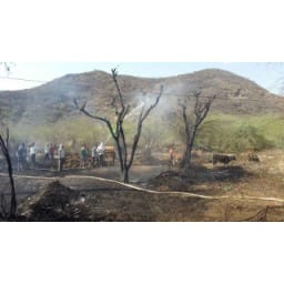 fuel burn with fire in govindpuri
