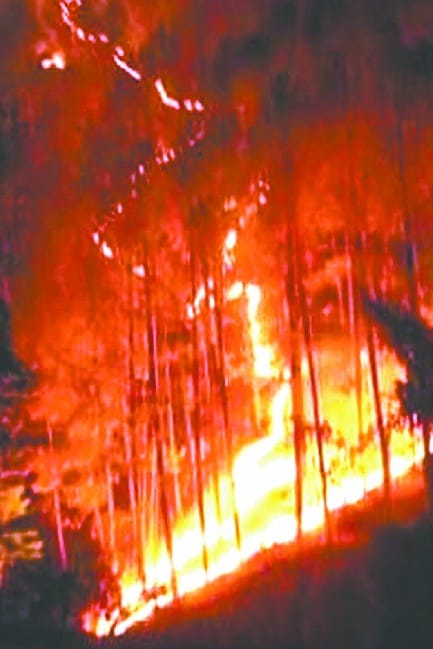 Kanda Kmsyar raging forest fires