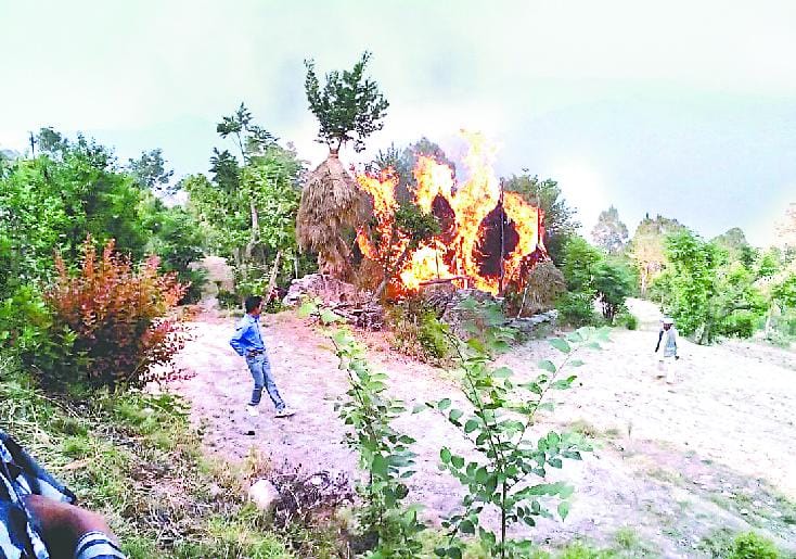 fire on grass