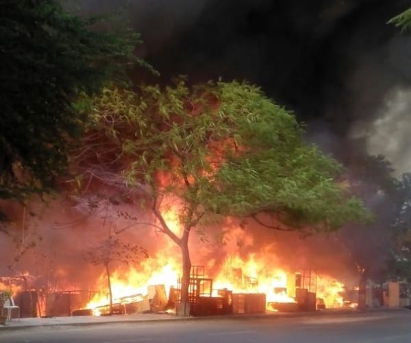 many forest burnt in renuka