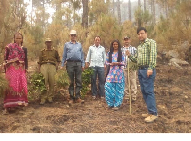 Woman arrested on charges of setting fire to the forest