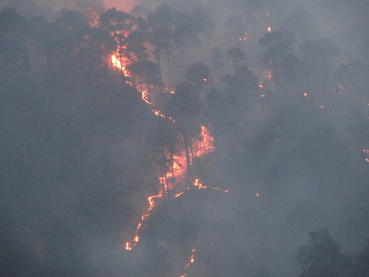 forest fire reached every district in uttarakhand.