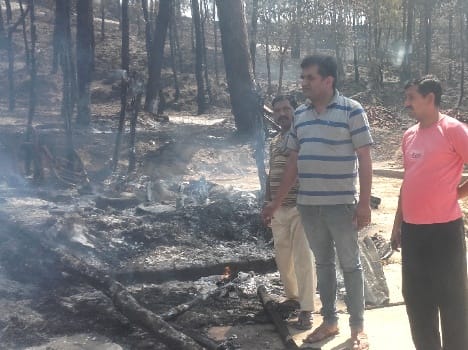 two house burn in forest fire