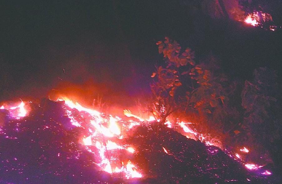 fire in village forest