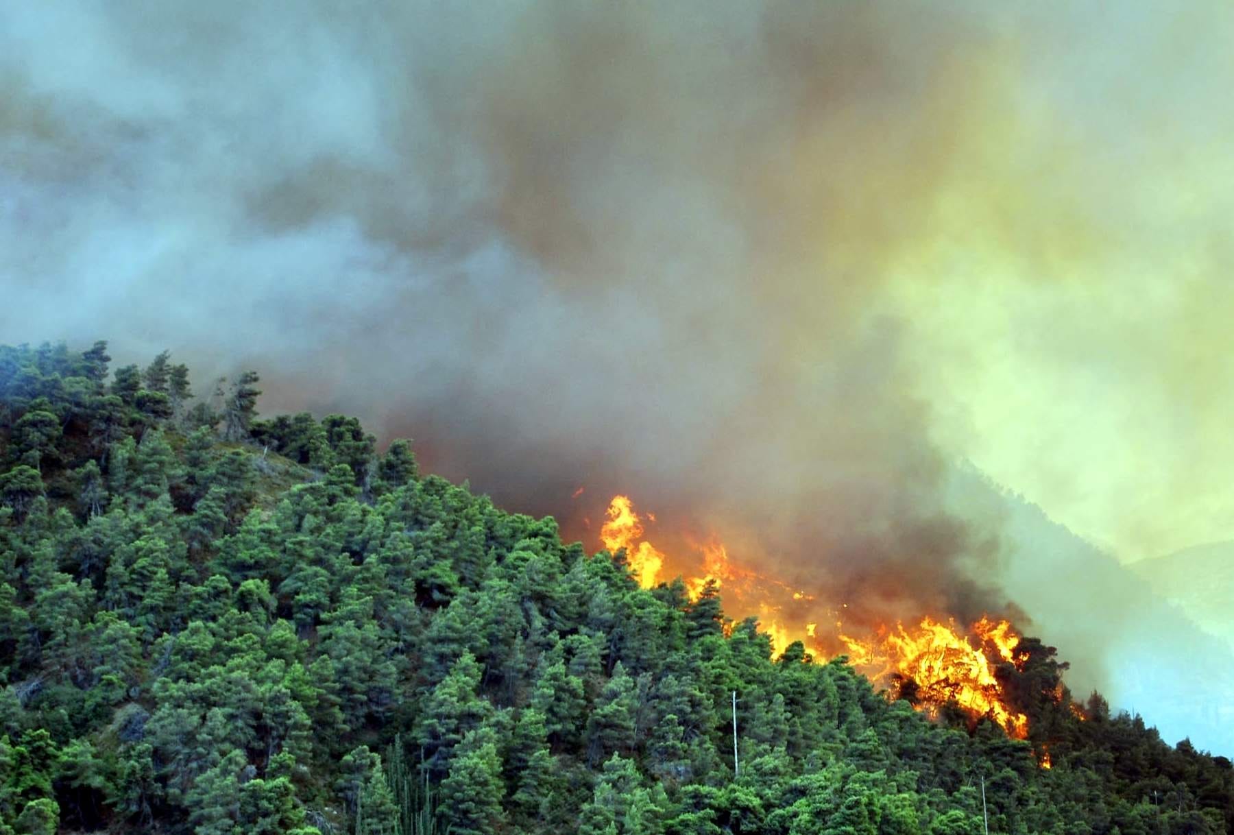 indian army deployed for controlling fire in uttarakhand