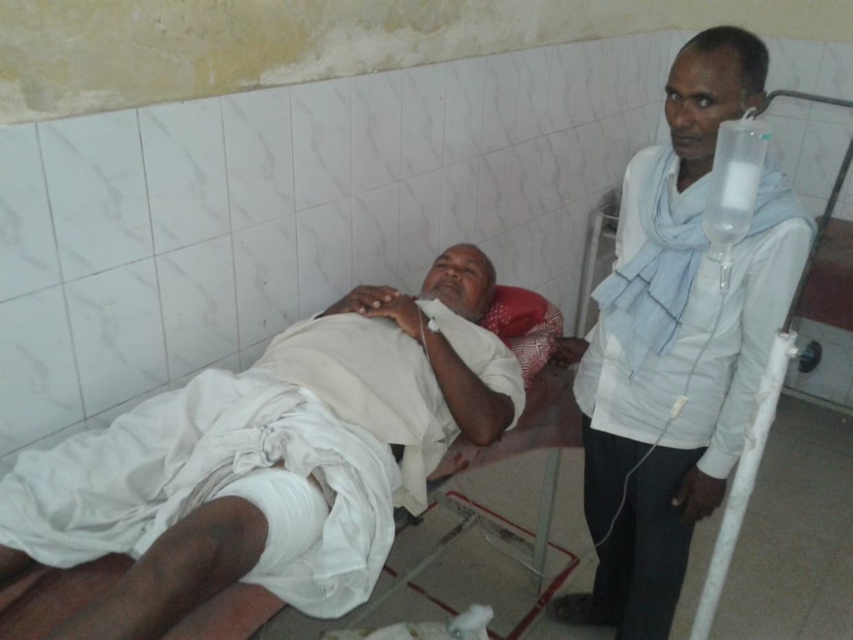 Wild Pig attacked on old man, injured