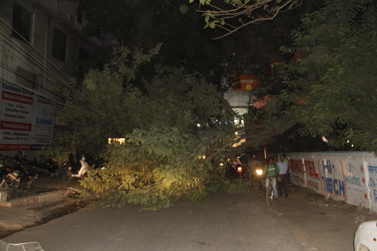trees are break, light problem