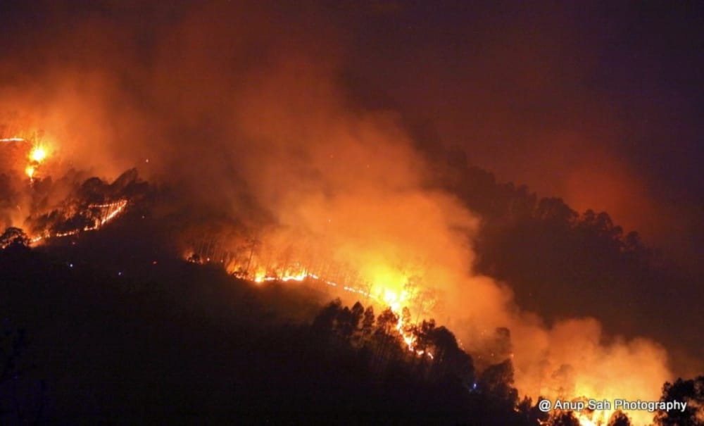 nainital forest burning photos
