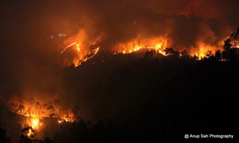 nainital forest burning photos