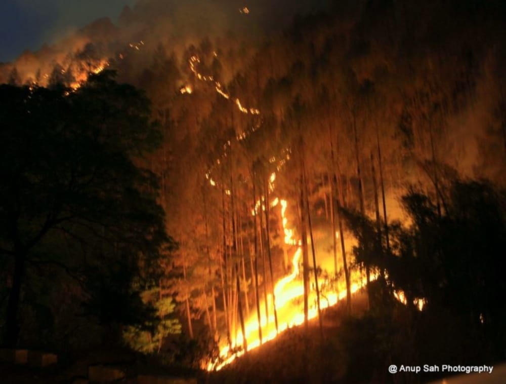 nainital forest burning photos