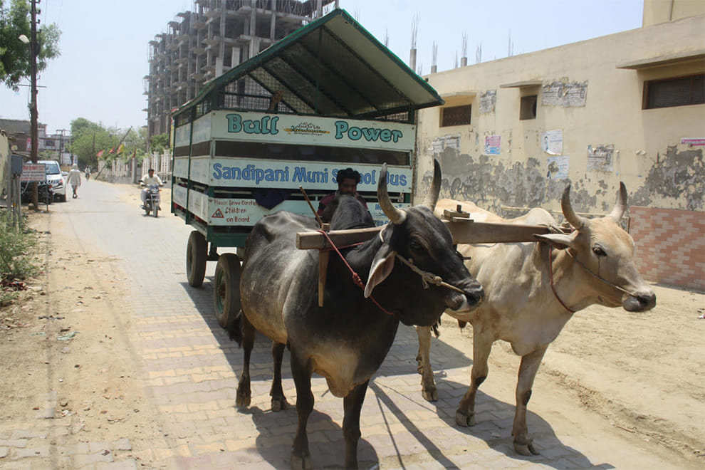 ox gadi for school children