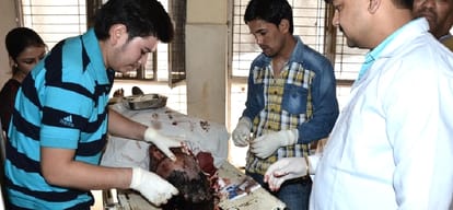 Fazilka's Rocky killed in a gangwar at shimla kalka highway.