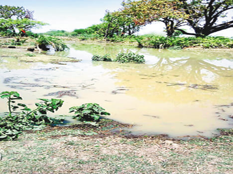 Millions of liters of waste water from the chamber wall openings