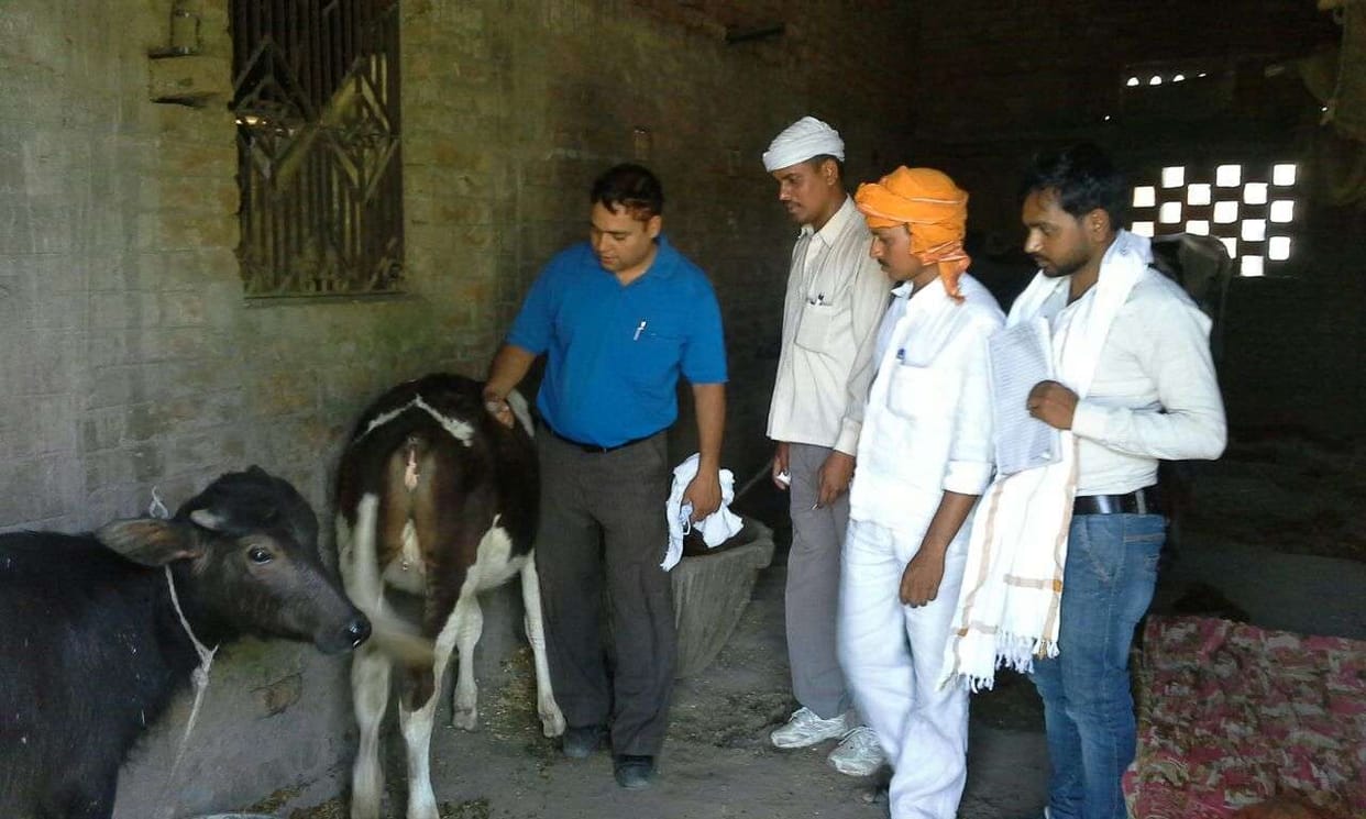 35 thousand animals were vaccinated