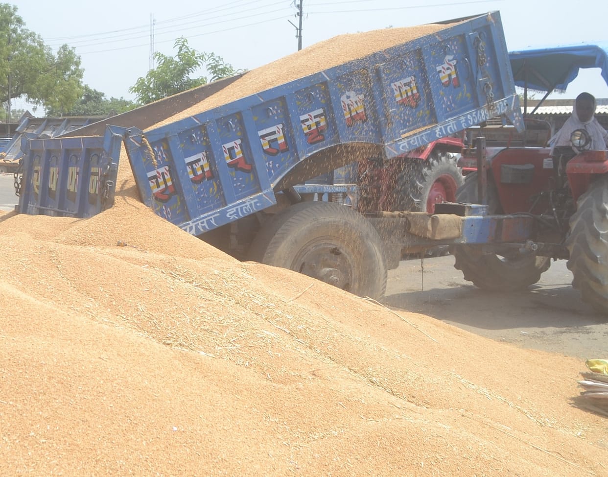 kisaan ghar baithe bech sakenge gehoon