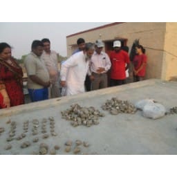 hisar hindi news, anil vij, hisar