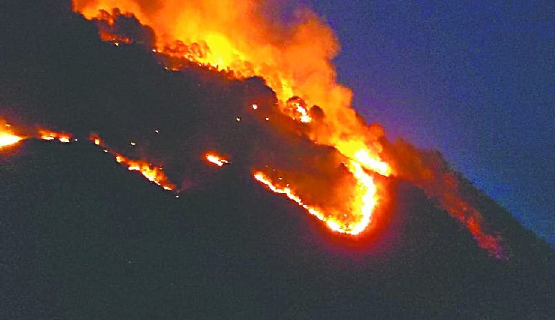Burning forest in Nainital