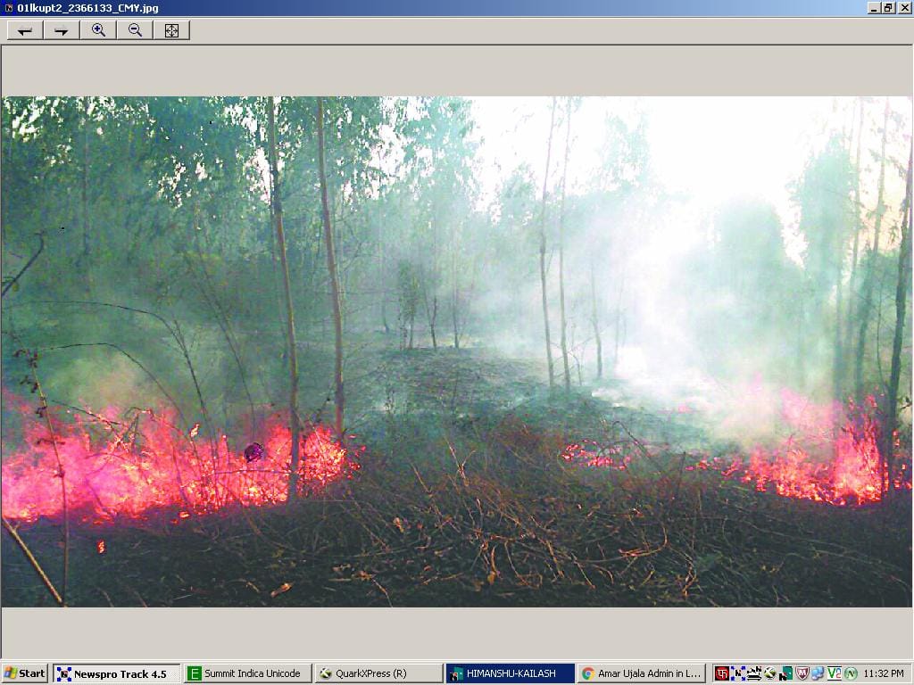 Forest fire: Kumaon most Ddke forest Pithuragd