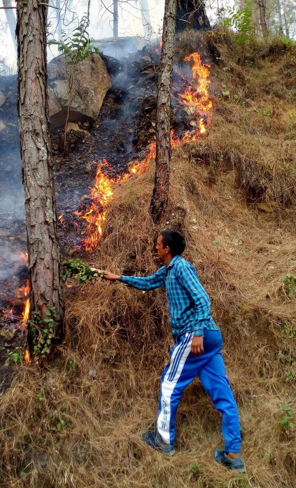 Fire erupted in the forests of the valley now Rwain