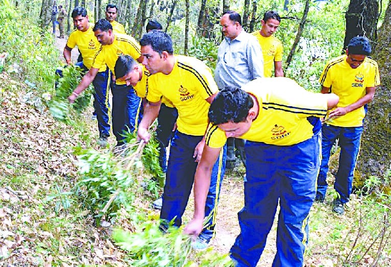 Fire extinguishers rushed SDRF