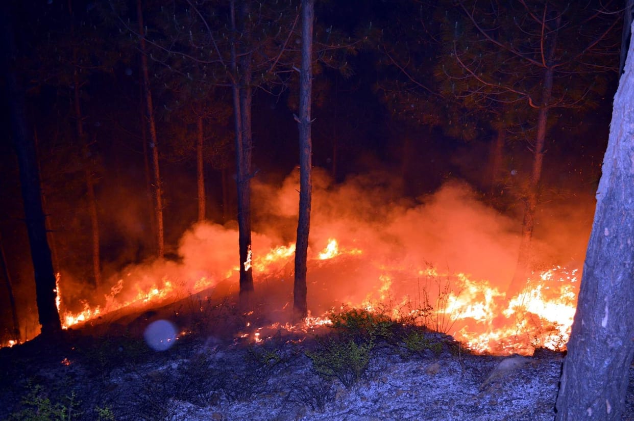 reason behind forest fire in uttarakhand