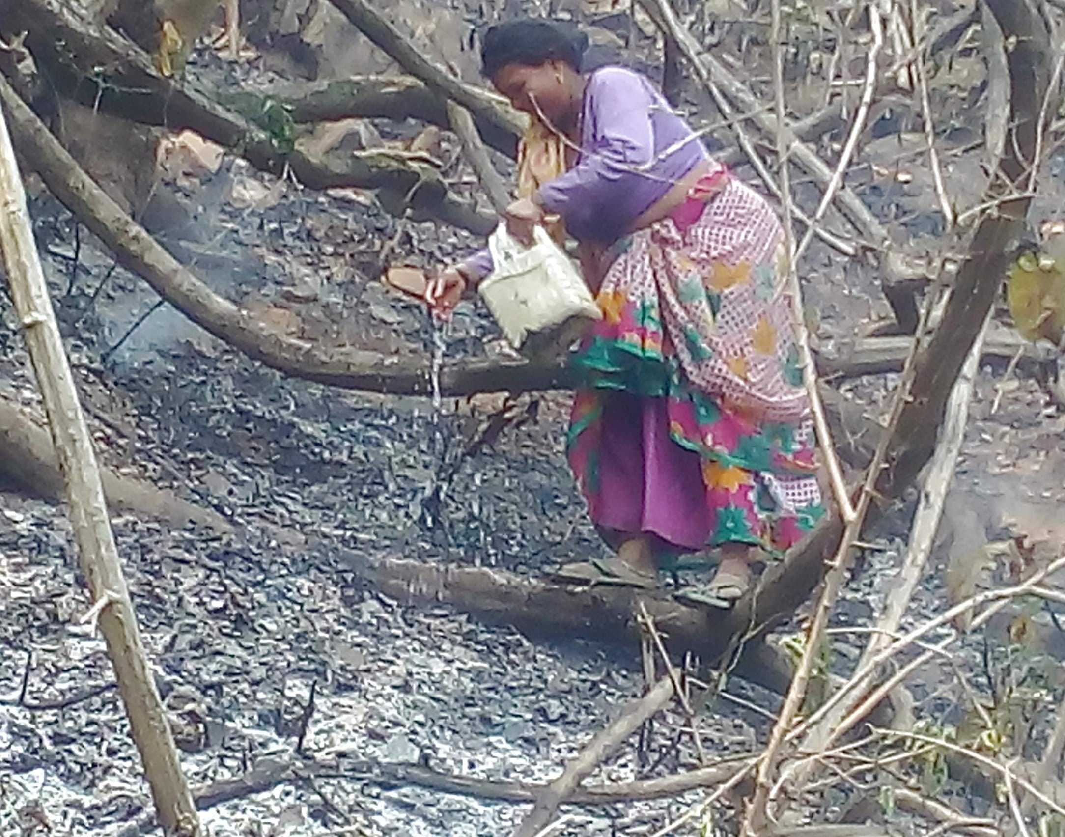 reason behind forest fire in uttarakhand