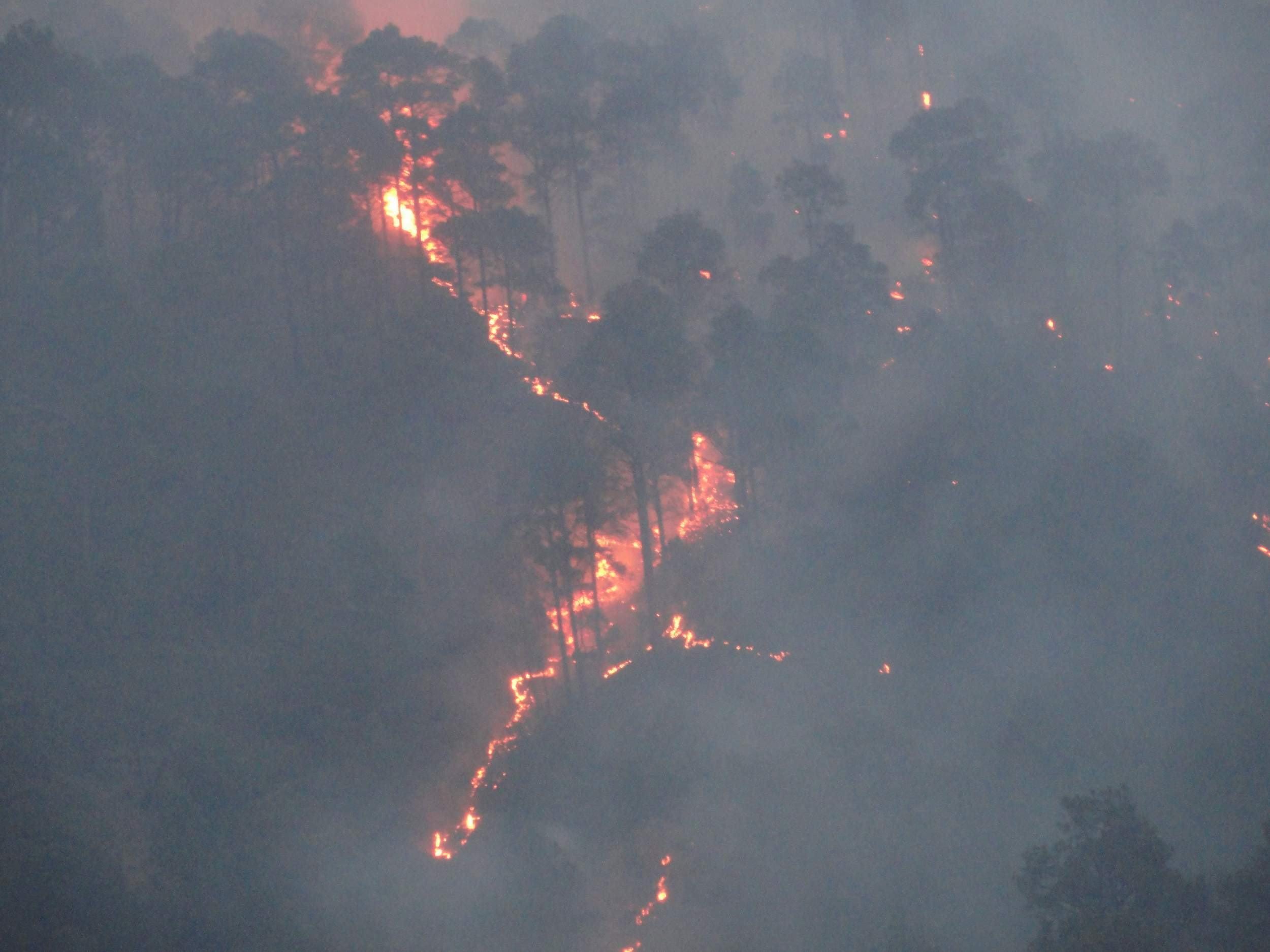 reason behind forest fire in uttarakhand