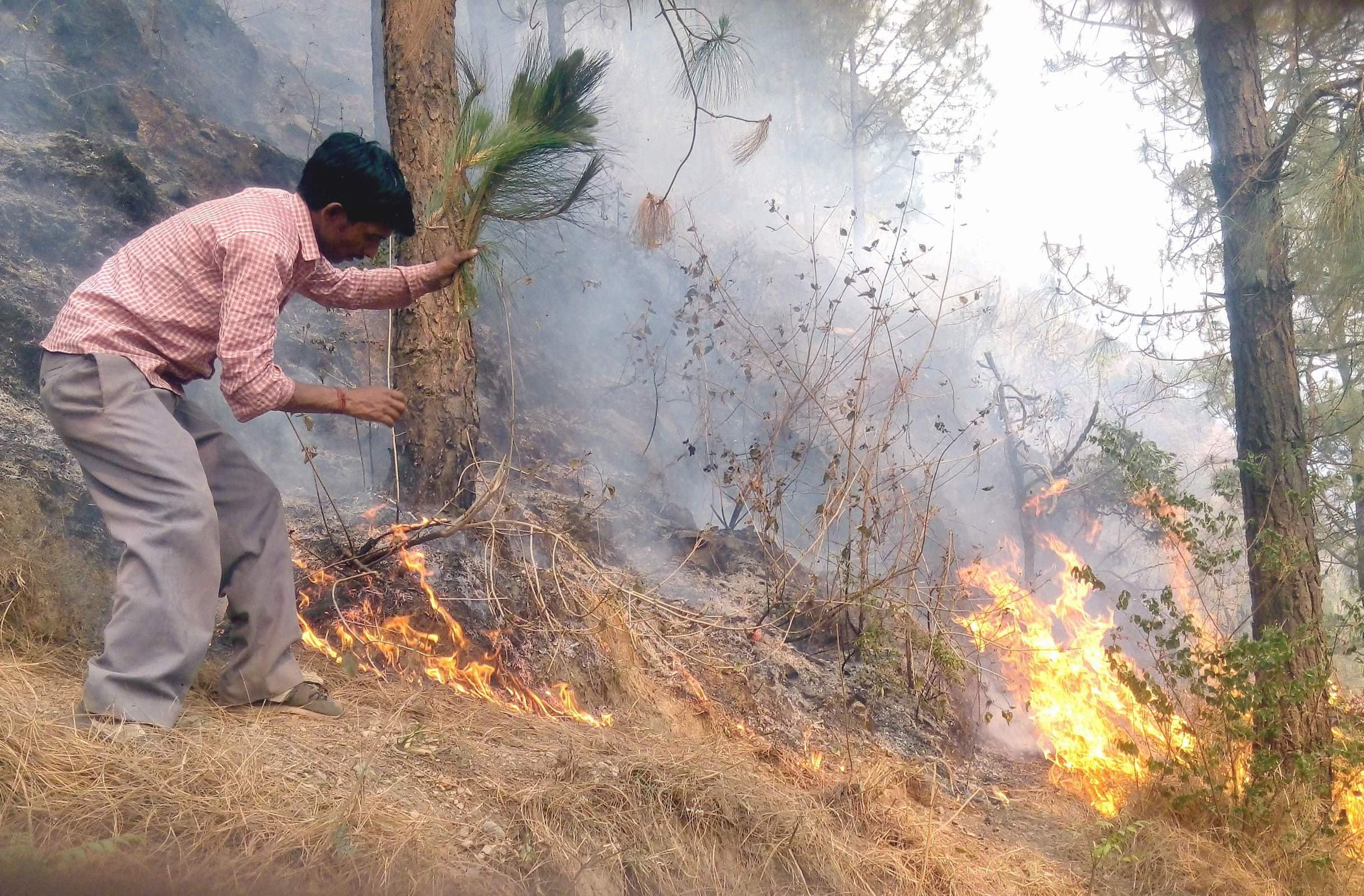 reason behind forest fire in uttarakhand