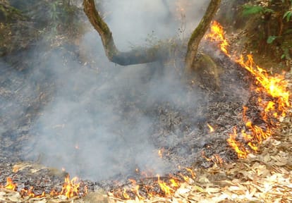 NDRF and air force work hard for burning uttarakhand