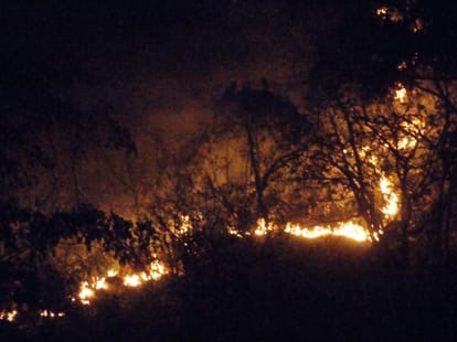 air force came with helicopter to control on forest fire