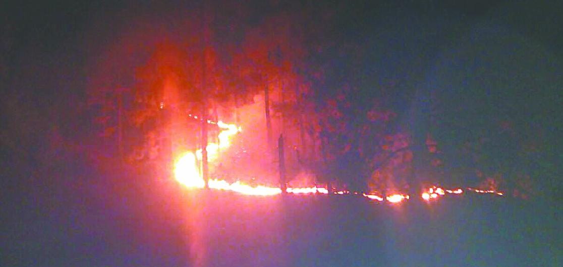 tourist go back from uttarakhand due to wildfire