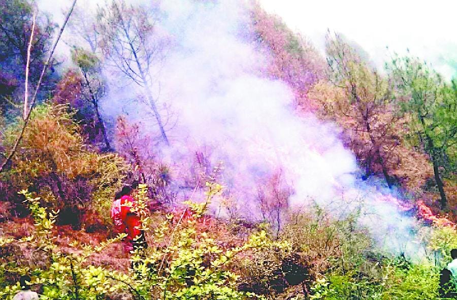 Despite strenuous efforts not to fire control