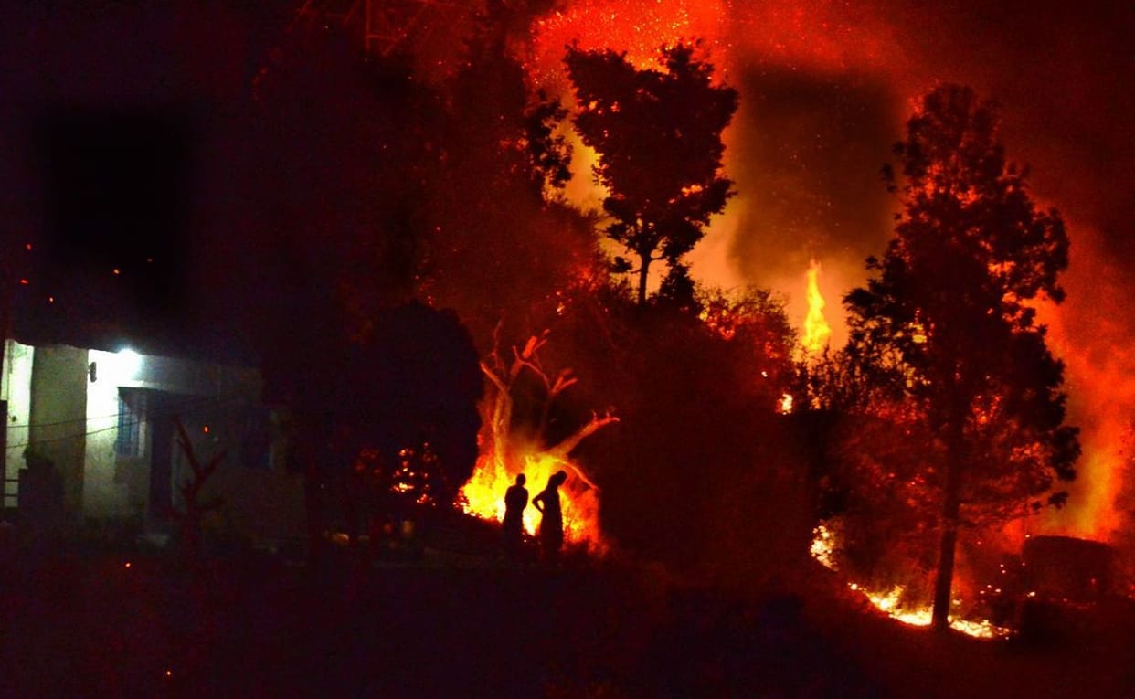 wildfire incident in uttarakhand 