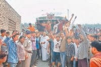 four, arrest, cantener, free, 23 cows, panipat, harayana