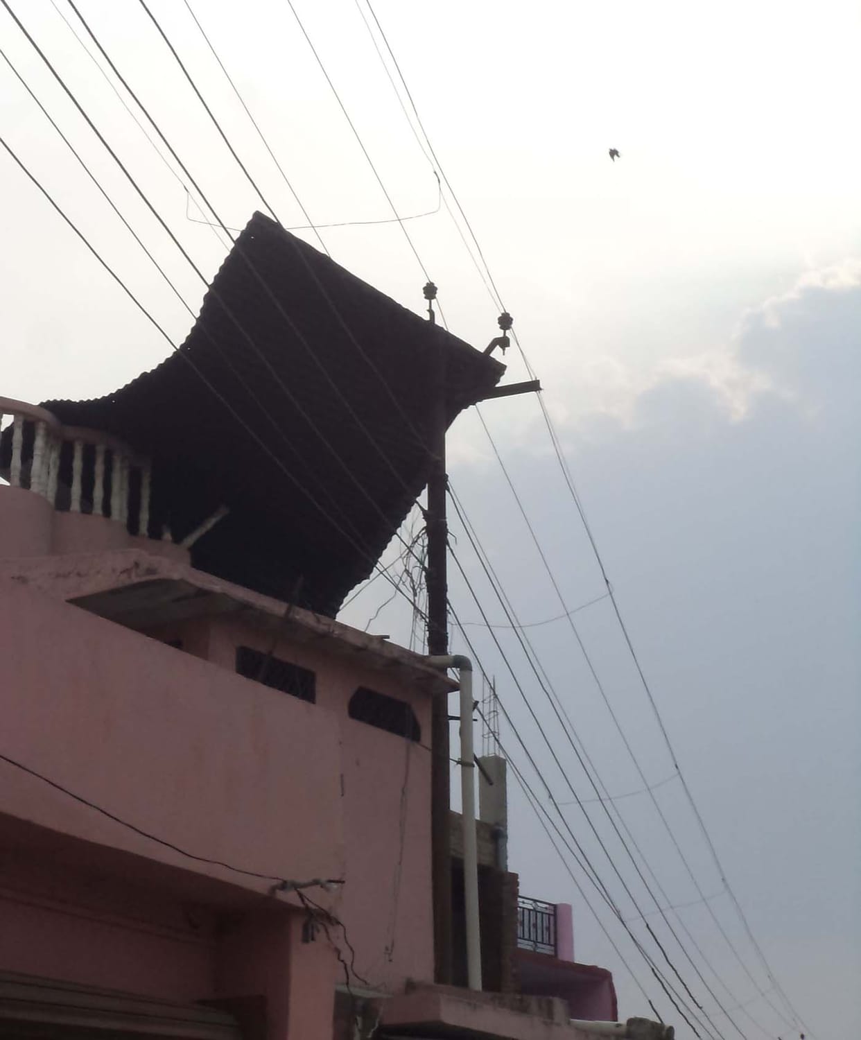Bullock cart hit by electric wires three people died in bhind