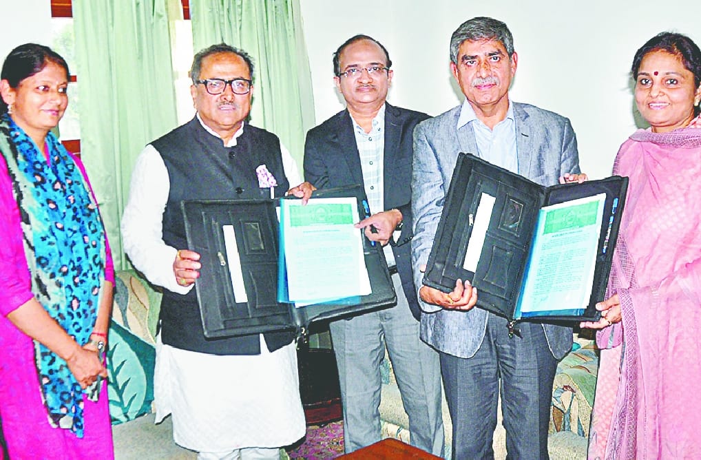 IIT will start in August