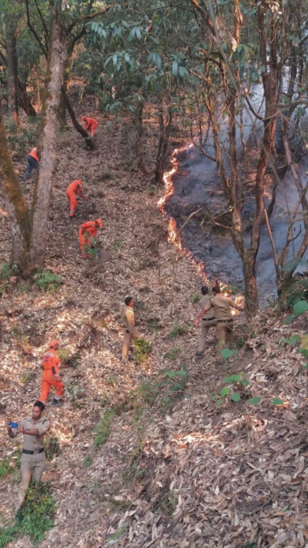 corbett park 281 hectare area burn in forest fire