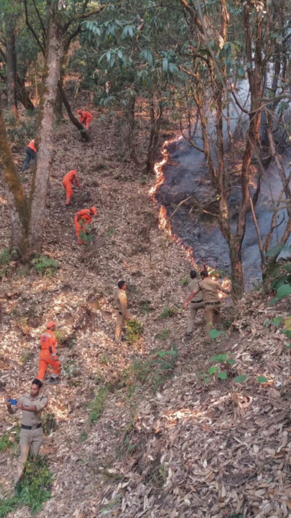 wildfire in harshil forest
