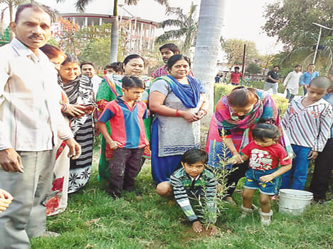 Kids birthday celebrated nine plant plant-