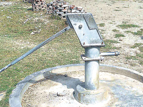 Jalaun saltwater life hinges on
