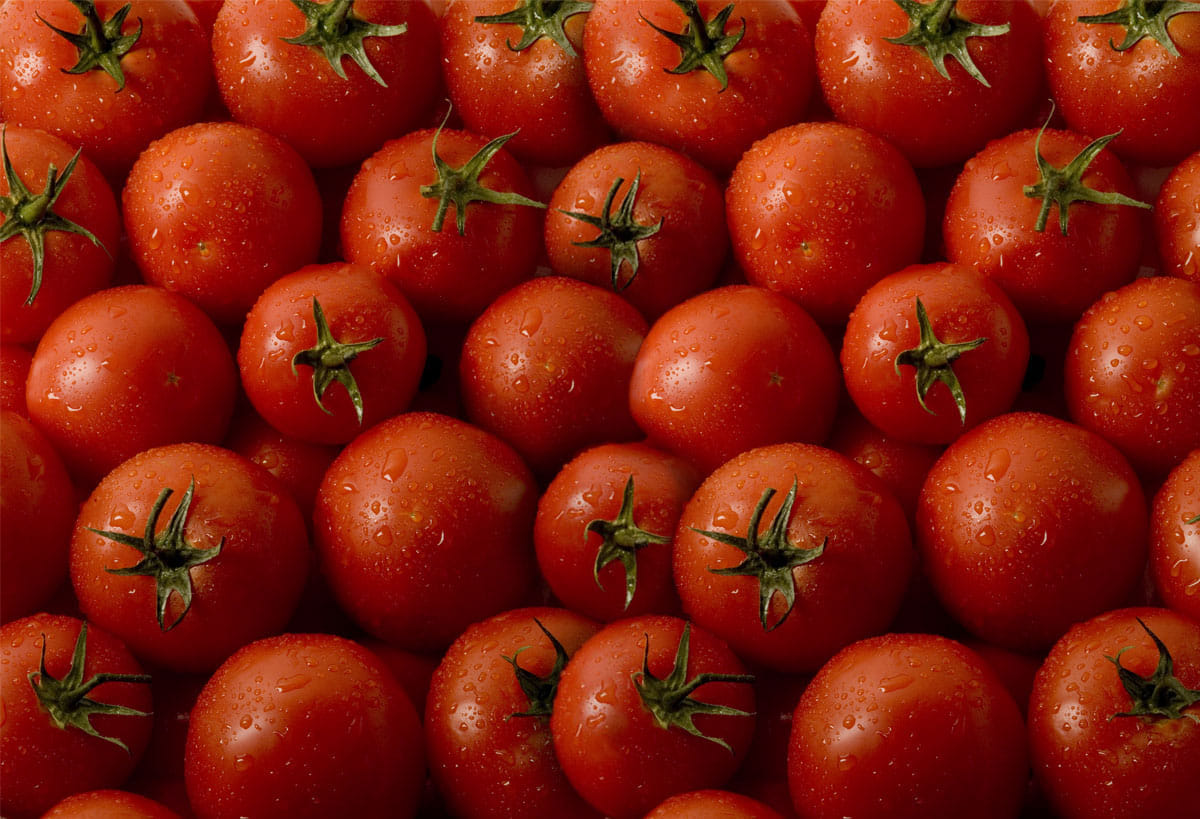 900 kilogram tomatoes stolen from 