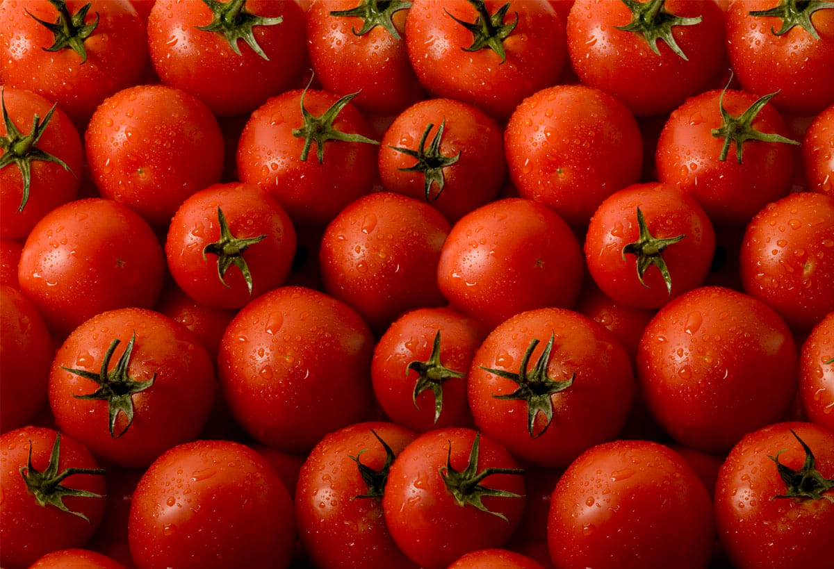 Tomato prices Rs 80 per kg in agra market
