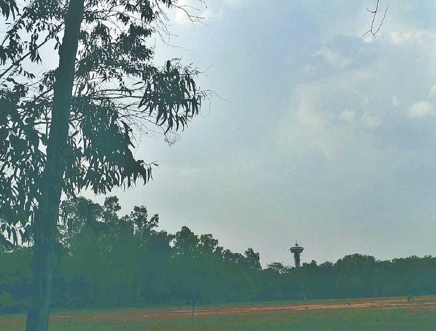 Sirsa News, Hindi News, Weather, Summer, Death, Sirsa